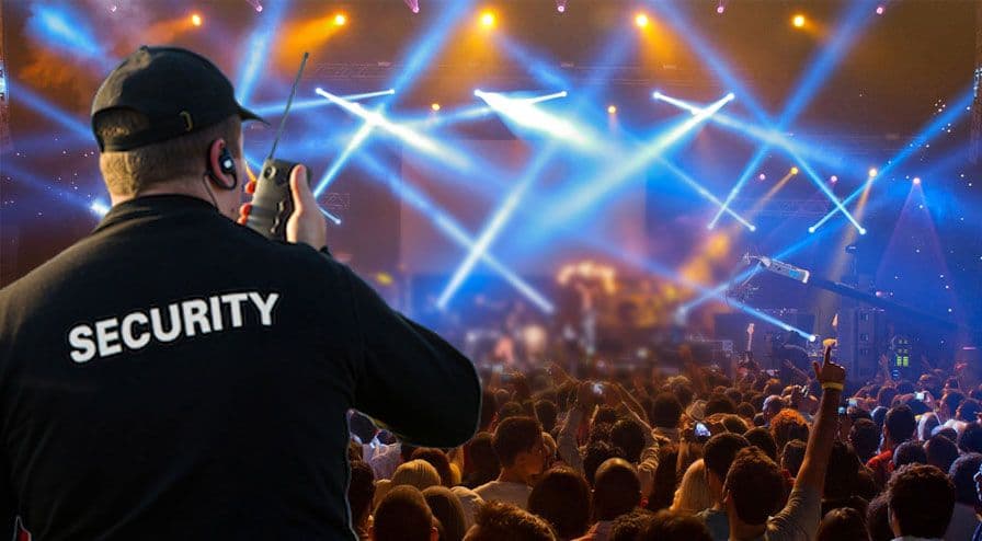 Professional security personnel at a large event